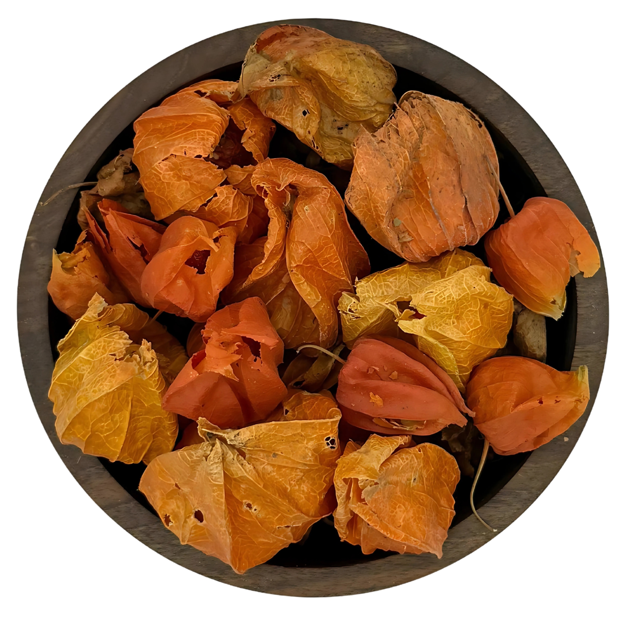 فیسالیس