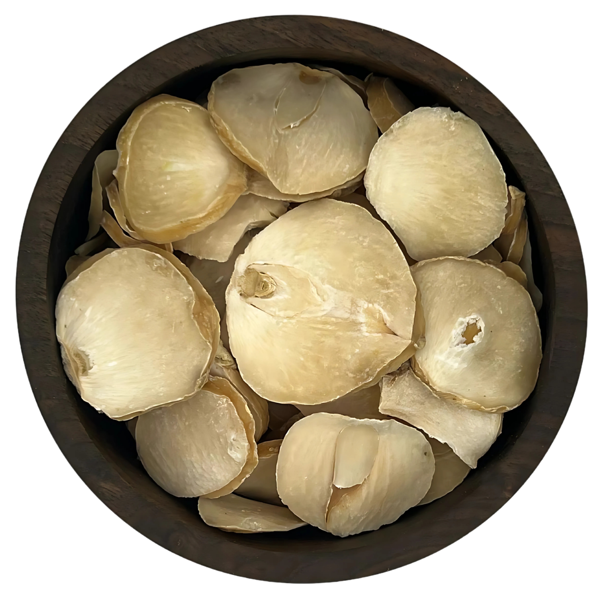 موسیر خشک